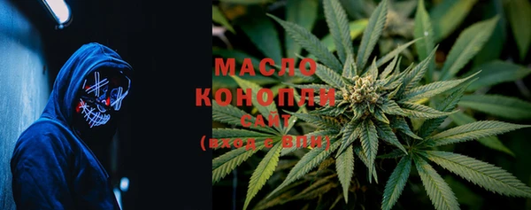 стаф Магас
