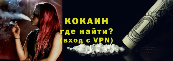 тгк Лиски