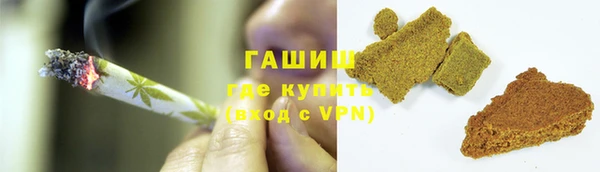 стаф Магас