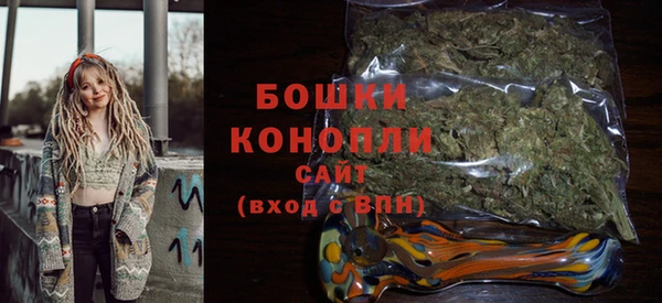 тгк Лиски