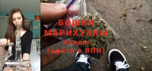 стаф Магас