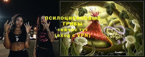 тгк Лиски