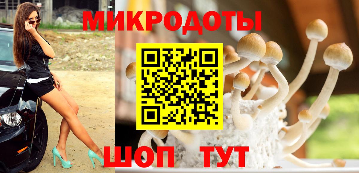 Псилоцибиновые грибы GOLDEN TEACHER  Псилоцибиновые грибы Psilocybe  Кольчугино  Вход с VPN 