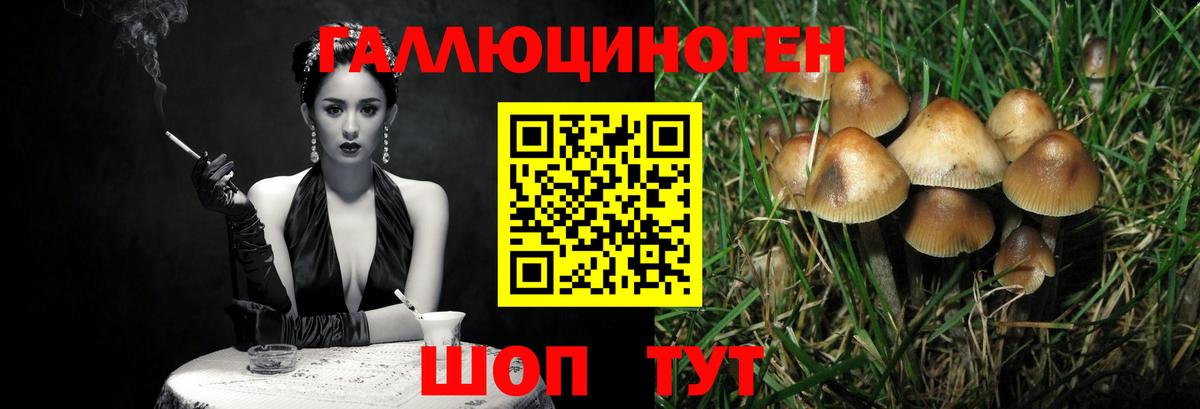 Галлюциногенные грибы Magic Shrooms Кольчугино